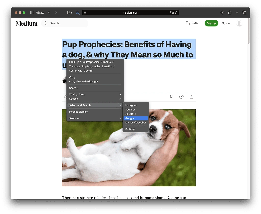 Select and search for safari extension