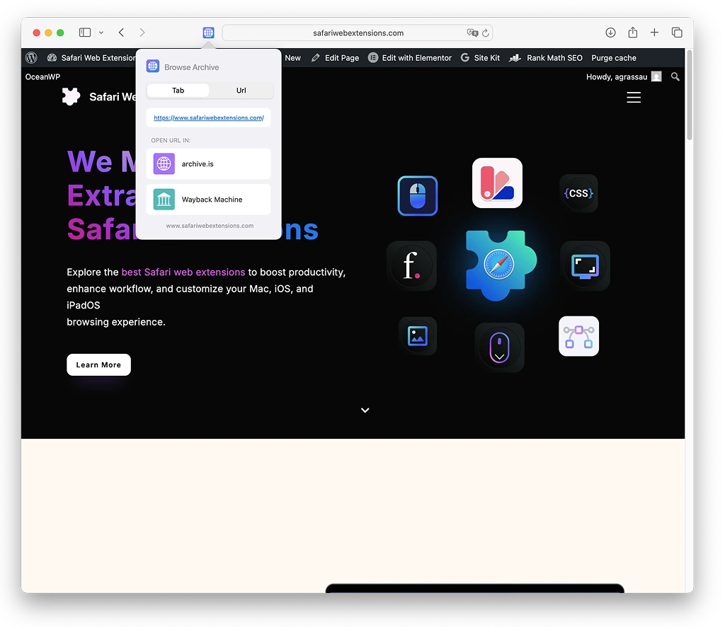 Search Web Archives for Safari - Safari extension