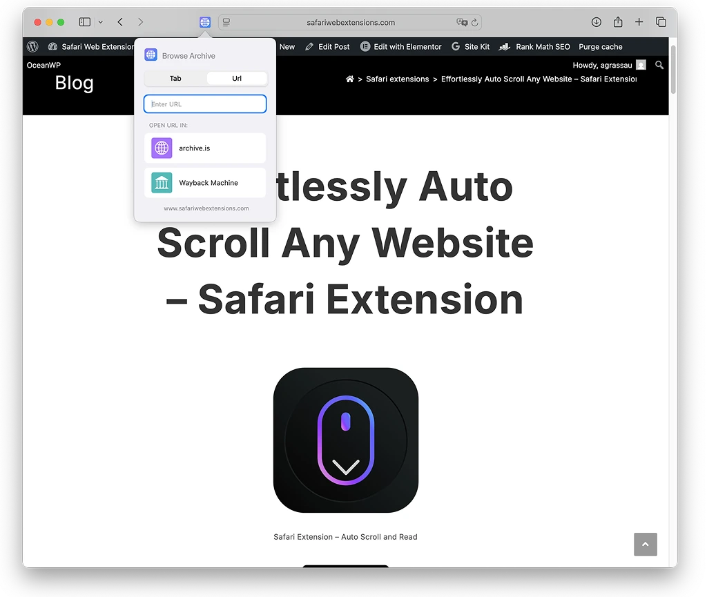 Search Web Archives for Safari - Safari extension