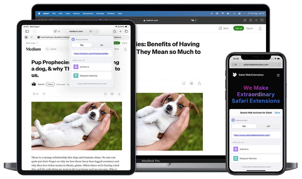 Search Web Archives for Safari - Safari extension