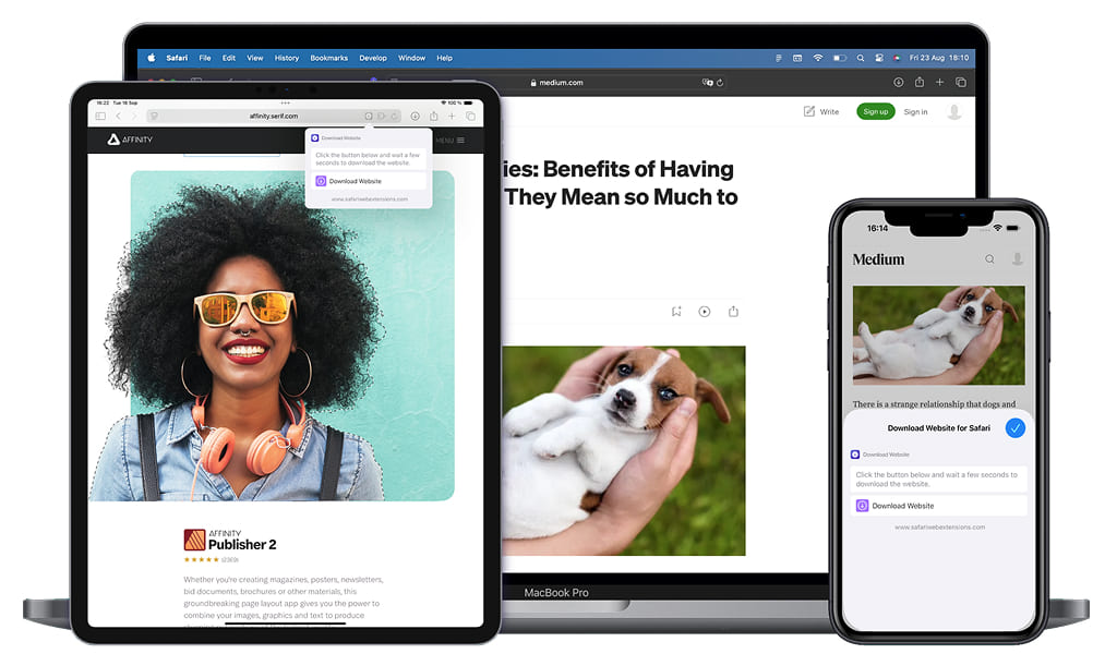Save website for Safari - Safari Extension