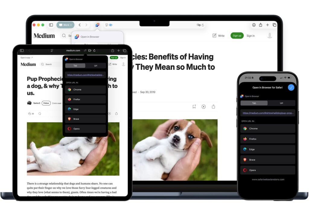 Open in Browser for Safari - Safari Extension 3