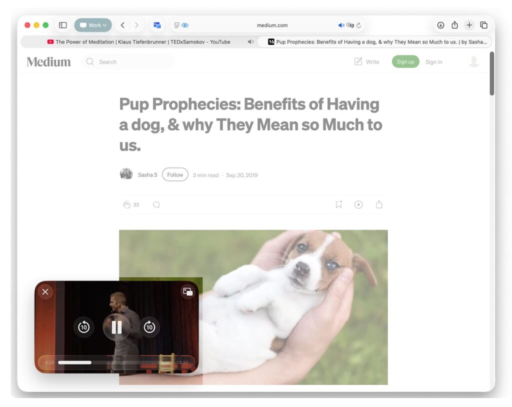 Picture in picture for Safari - Safari Extension 2